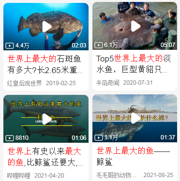 世界上最大的鱼