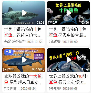 10大最可怕鲨鱼