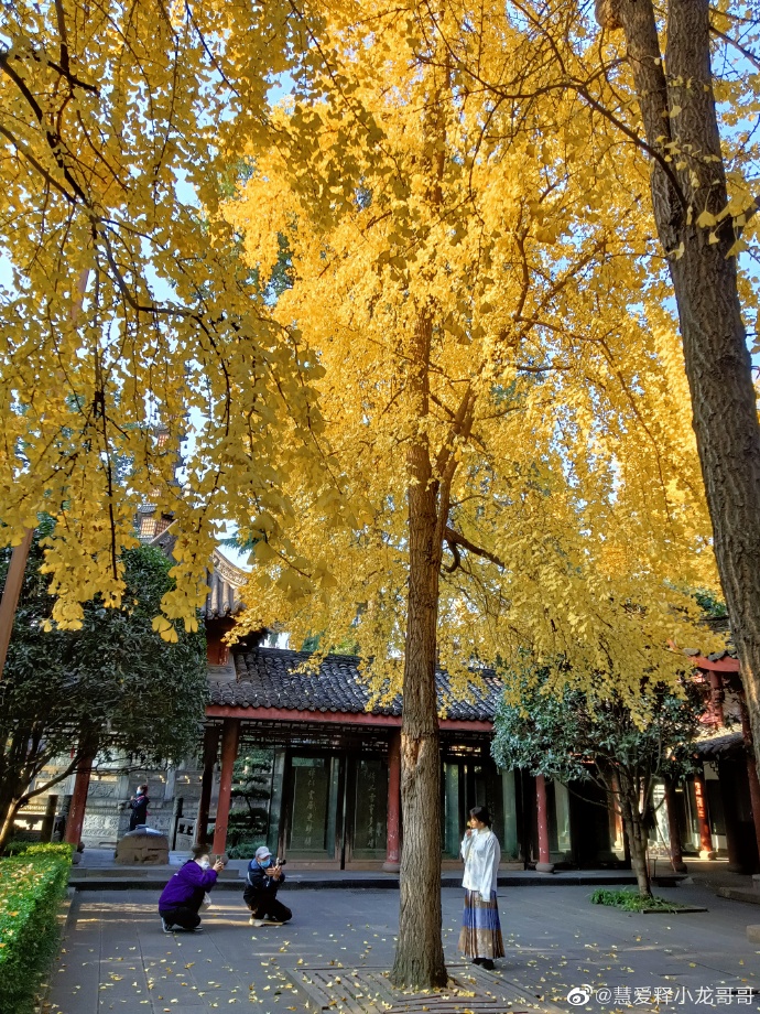 三、四川适合赏秋的地方？