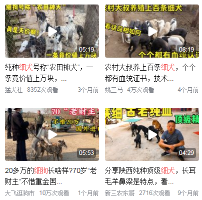 细狗什么意思