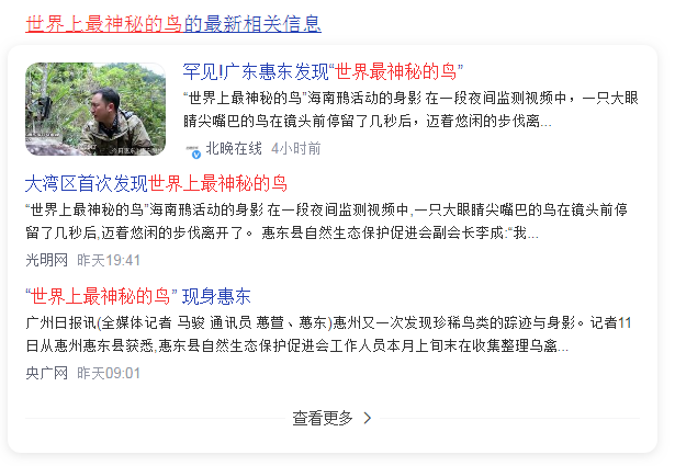 广东惠东发现“世界最神秘的鸟”