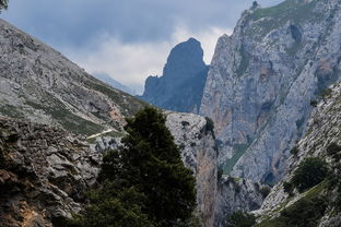  山东旅游最佳线路的旅游费用是多少？