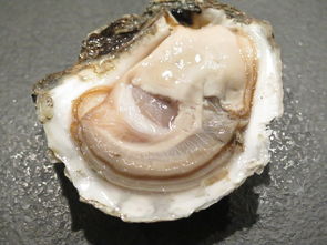  莲花的食用方法？