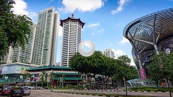 去杭州玩哪些景点(最全的杭州旅游景点推荐)