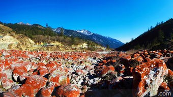 四川海螺沟游玩(绝美风景与独特文化的结合，让你流连忘返)