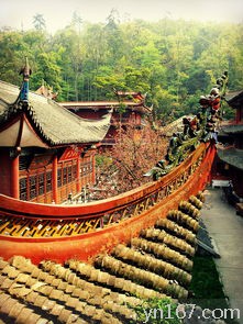  西双版纳到贵阳的旅行时间需要多久？