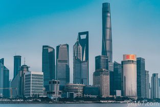 上海哪些地方可以户外烧烤？