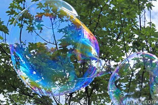 浦东滨江森林公园如何一日游？