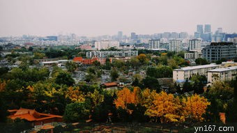 上海公园风景好的地方？