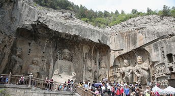  厦门五一文化广场主要的文化活动？