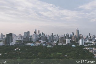 深圳周边旅游城市推荐(玩遍周边城市，畅享粤港澳大湾区旅行)
