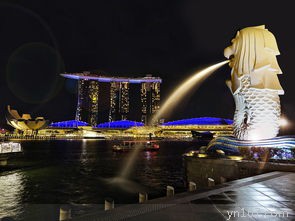 星辉国际影城的位置在哪里？