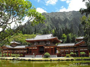 上海世纪公园一日游攻略的交通方式是什么？
