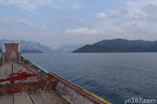 武隆旅游攻略？