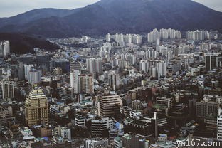 哪些城市被称为四大烧烤城市？