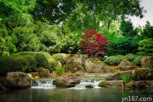 九峰山森林公园是否允许烧烤？