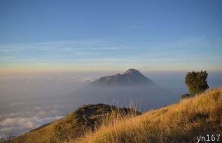 水府庙景区门票价格？