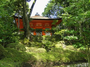  合肥一日游必去景点？