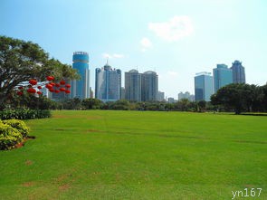  什么时候有从海口到三亚凤凰机场的班车或航班？