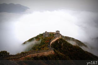 大杨山国家森林公园是什么？