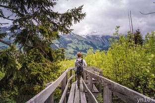上海一日游旅游攻略的最佳路线是什么？