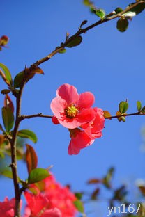 植物园怎么去？