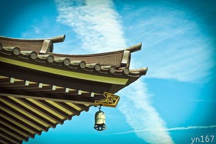 上海七日游的行程安排