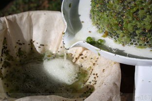重庆石锅鱼的制作方法是怎样的？