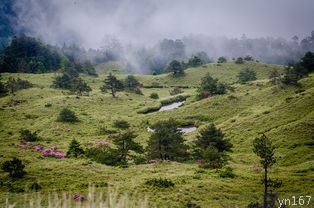 内蒙古旅游(美丽草原与蒙古包的邂逅)