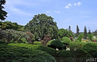  会泽县属于哪个市辖区？