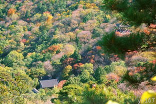 4a旅游景区(国内最美的4A级旅游景区推荐)