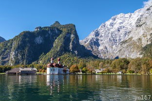 重庆武隆一日游旅行社报价的价格是多少？