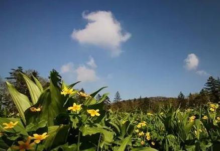 哈尔滨横头山门票 优惠
